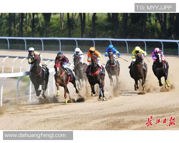 城市赛分析：LNG在比赛中的速度表现与策略探讨